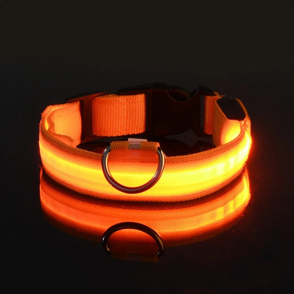 Dog Collar Nylon LED Night Safety Flashing Glow In The Dark Pet Dog Leash pet Dogs Luminous Fluorescent  dog accessories collar