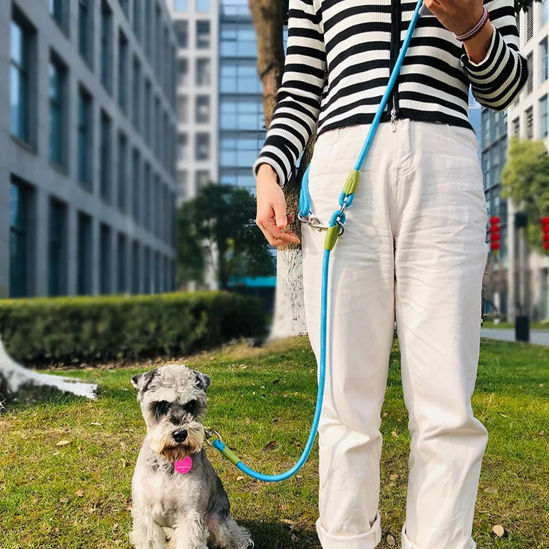 SafeWalk: Ultimate Reflective Nylon Dog Leash – Safety Meets Comfort