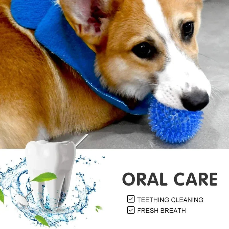 Pet Dog Toys Cat Puppy Sounding Toy Polka Squeaky Tooth Cleaning Ball TPR Training Pet Teeth Chewing Toy Thorn Balls Accessories