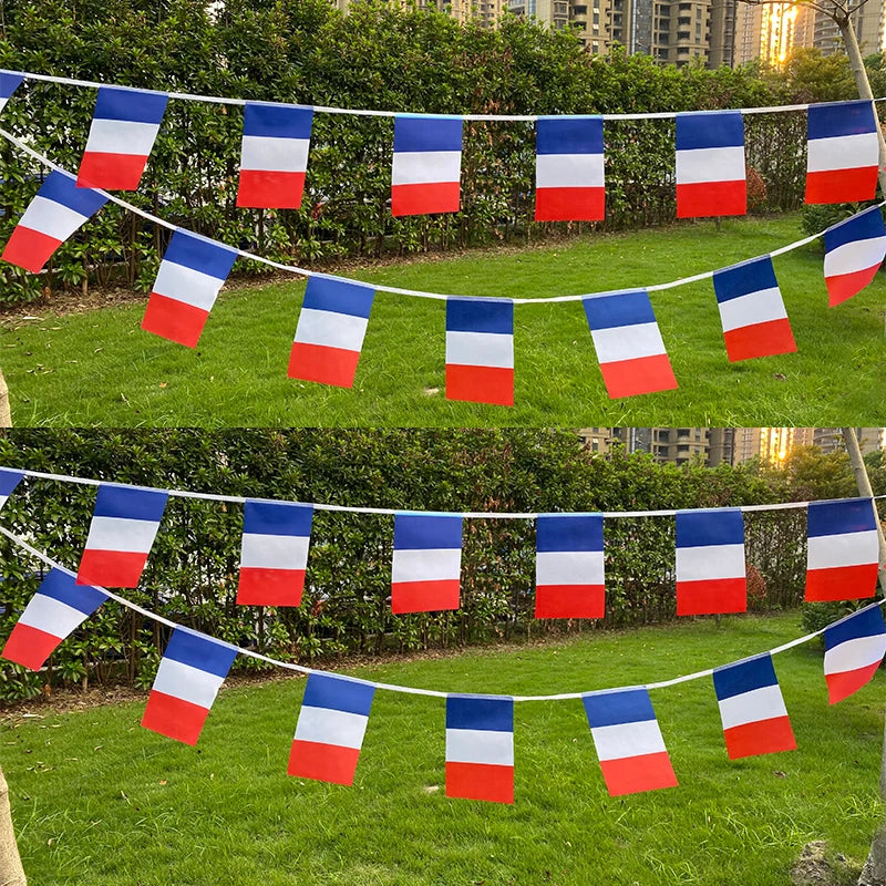 Aerlxemrbrae  FestiFrance: 20-Piece French Bunting Flag Set