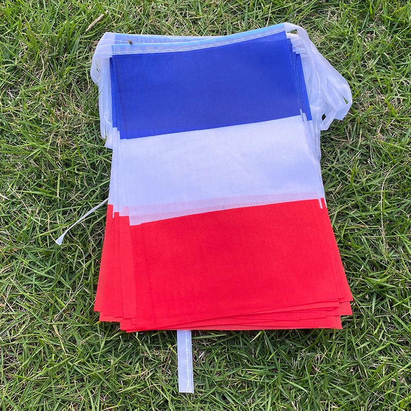 Aerlxemrbrae  FestiFrance: 20-Piece French Bunting Flag Set