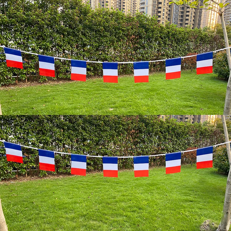 Aerlxemrbrae  FestiFrance: 20-Piece French Bunting Flag Set